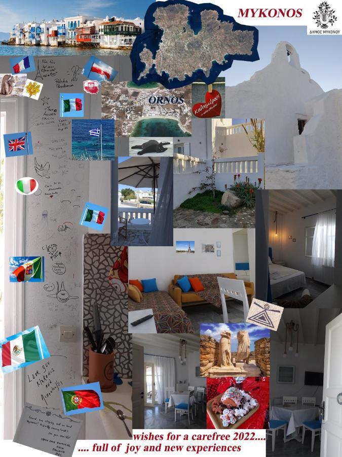 Mykonos Ornos Turquoise Home Zewnętrze zdjęcie